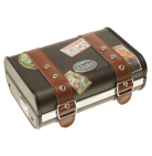 Travel Suitcase clockradio