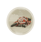 Palau "Ducati Troy Bayliss"