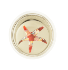 1$ PAL Sea Star Prism