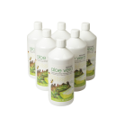 Aloe Vera Saft mit Honig