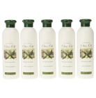 Bodylotion Olive 5er Megapack