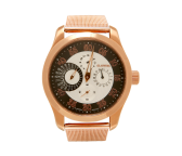 Glaswerk Automatik Regulateur