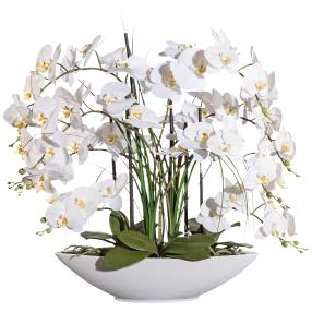 XXL-Orchidee mit Gras, weiß