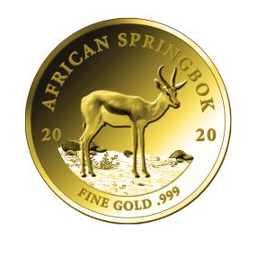 GK 2020 African Springbok