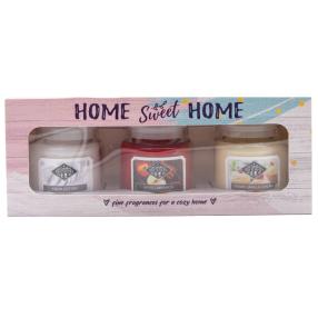 Candle Brothers Duftkerzen 'Home Sweet Home' 3er