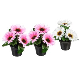 Gerbera rosa-weiß 3er-Set