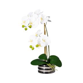 Orchidee weiß, inkl. Keramiktopf