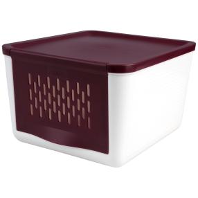 Zwiebel-Box