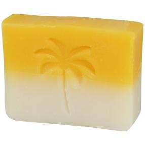JN Mangowölkchen Seife 100g