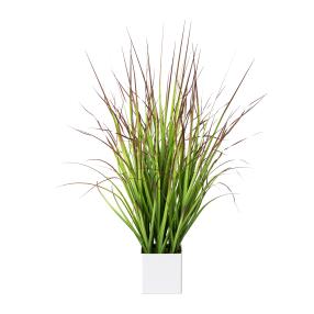 Ziergras grün-rot 76cm im Topf