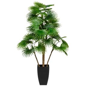 Fächerpalme 105cm im Topf