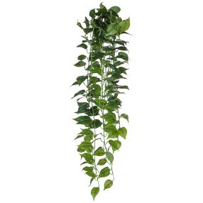 Philodendron-Hänger 120cm