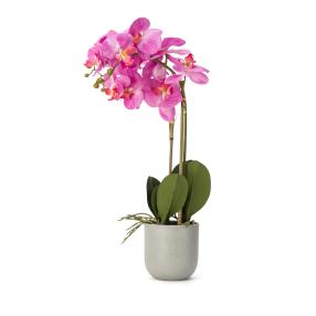 Orchidee pink 37cm im Topf