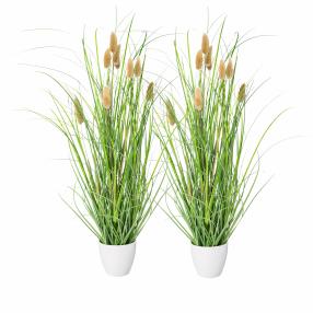 Lagurus grün 40+50 cm im weißen Melaminetopf