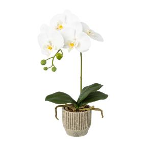 Orchidee weiß 36cm Keramiktopf