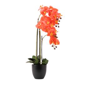 Orchidee lachs 83cm im Resintopf