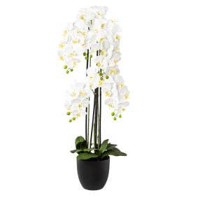 Orchidee weiß 119cm im Resintopf