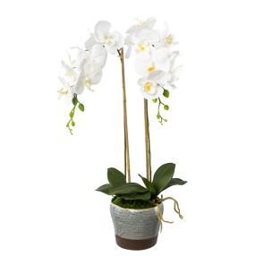 Orchidee weiß 69cm im Keramiktopf