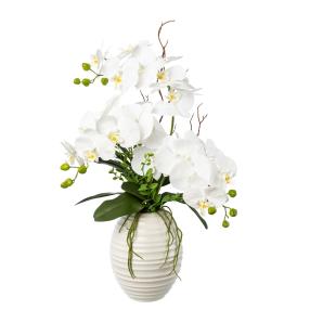 Orchidee weiß 70cm im Keramiktopf