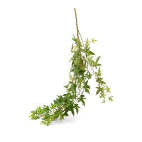 Sternefeu grün 108 cm