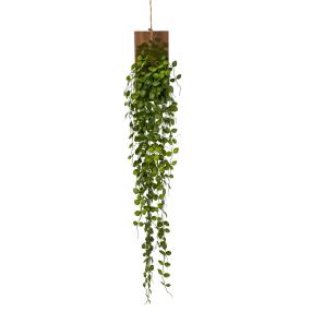 Mühlenbeckiaranke auf Holz grün 123cm