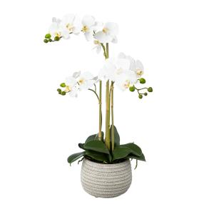 Orchidee weiß 60cm Real Touch
