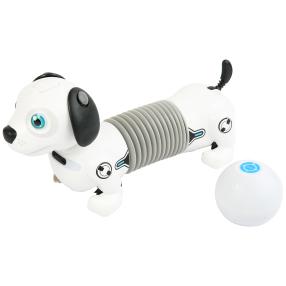 Junior Robo Dackel