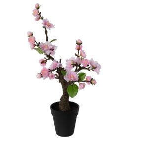 Kirschblüten Bonsai rosa