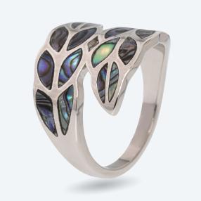 Ring Abalone