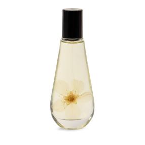 Flor D´ametler Classic EDT 50ml