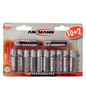 Alkaline Batterien 12x AA