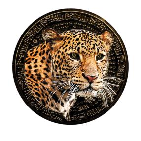 XXL-Leopard mit Sphenaugen