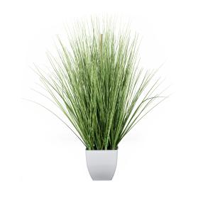 Ziergrasmix 77cm, im Topf weiß