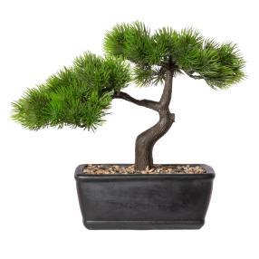 Bonsai-Lärche 23cm in Zementschale