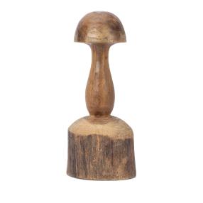 Darimana Teakholz-Pilz auf Stamm