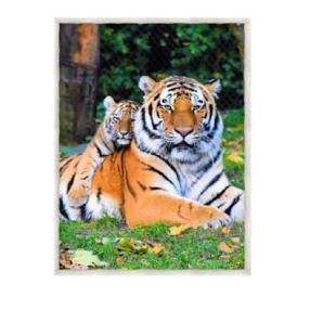 Sherpa-Decke Tiger 130x160cm
