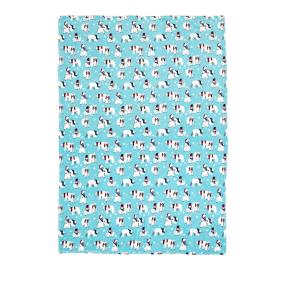 Kuscheldecke Eisbären mint-weiß 150x200cm