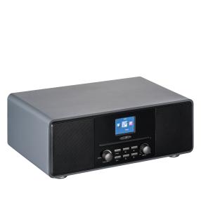 DAB+/DAB/UKW Radio grau