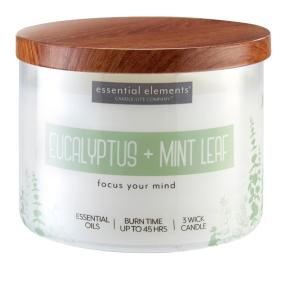 CL Duftkerze Eucalyptus & Mint Leaf - 418g