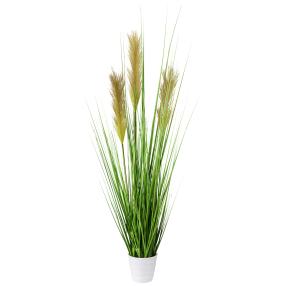 Grasbusch im weißen Topf, 80 cm