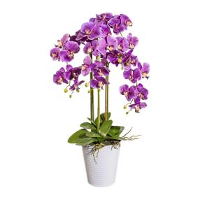 XXL-Orchidee lila, inkl. Dekotopf, 94 cm