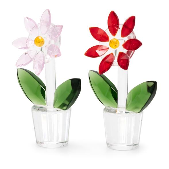 Crystal Dreams Blumen Set