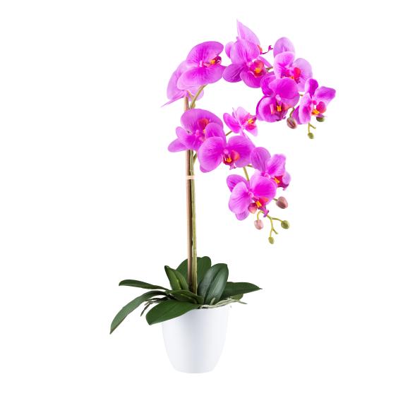 Orchidee 56cm lila