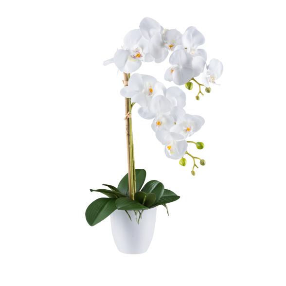 Orchidee 56cm weiß