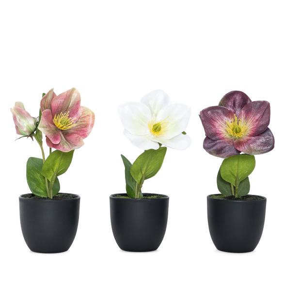Christrosen 3er Set 19cm