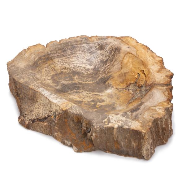 4069315159311 - Schale fossiles Holz groß