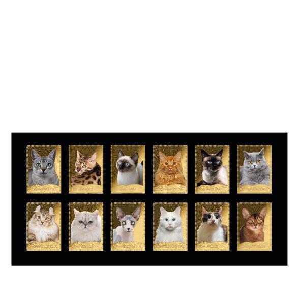 12er Set Münzbarren-Kollektion 