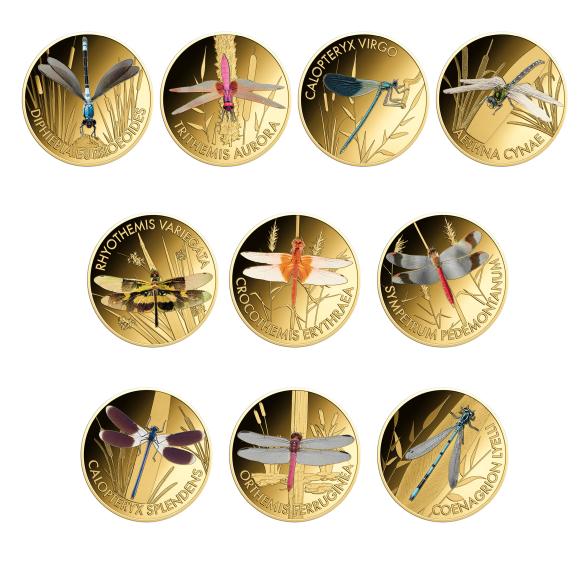 10er Set Wonder World of Dragonflies