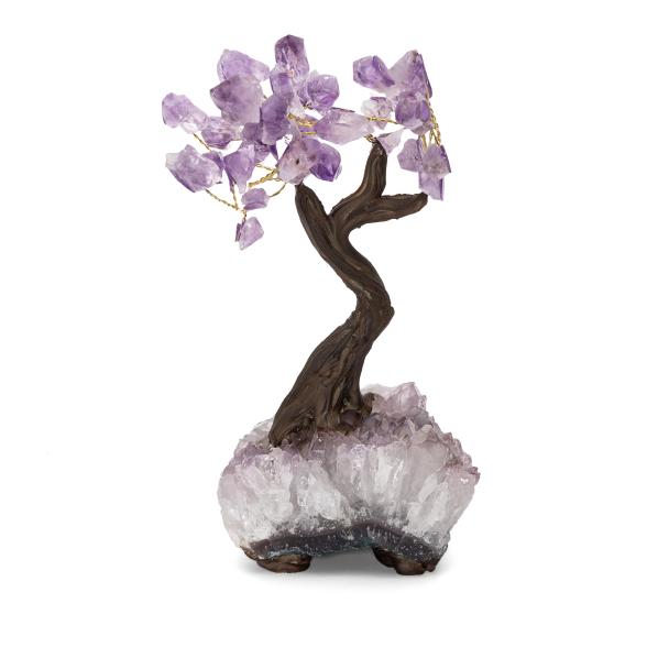 4069315157874 - Amethyst Bäumchen