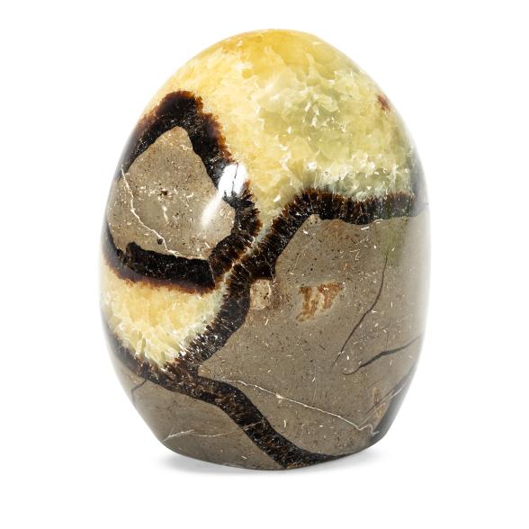 Freeform Septarie gelb